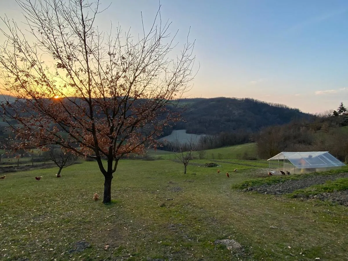 Bed&Breakfast Olistico Il Velo di Maya Ponte Nizza Bed & Breakfast